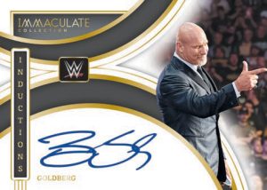IMMACULATE INDUCTIONS, Goldberg