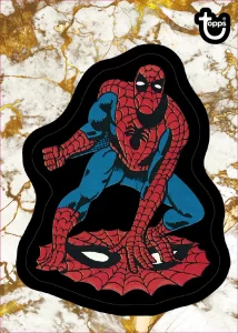 Spiderman Card –