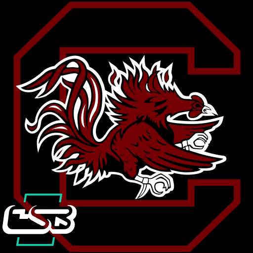 south carolina gamecocks Card –